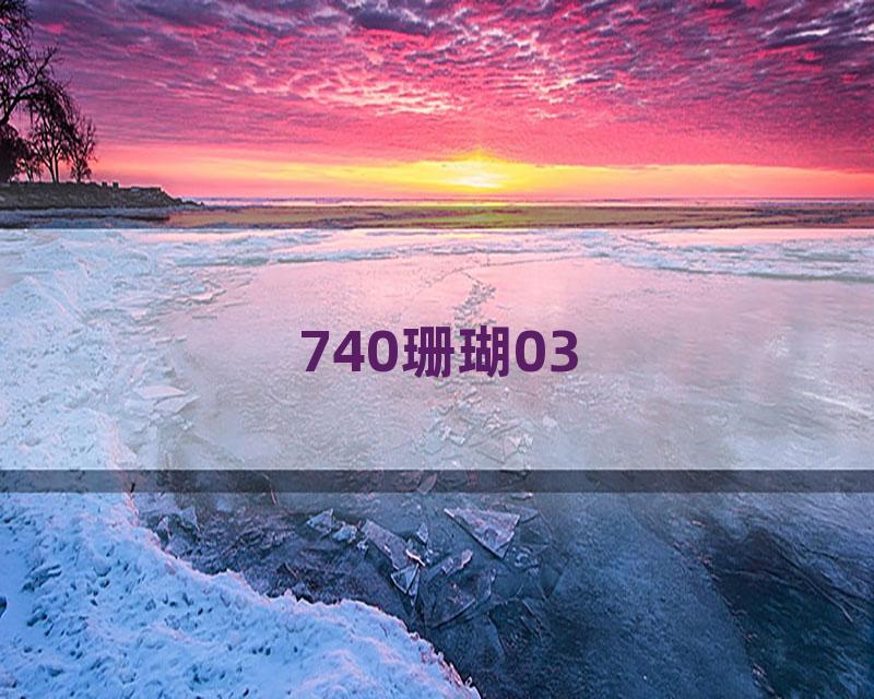 740珊瑚03