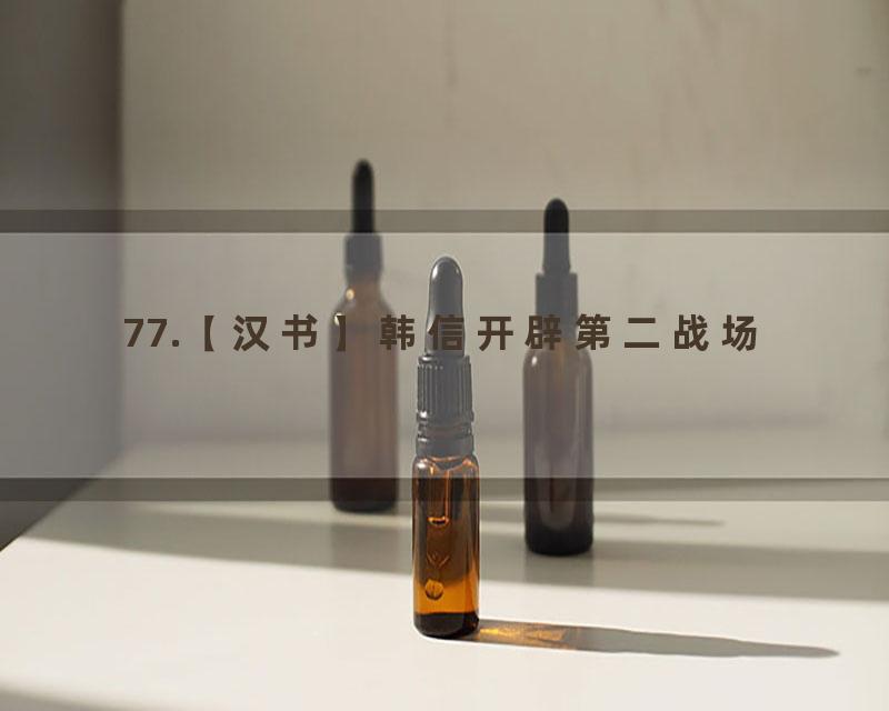 77.【汉书】韩信开辟第二战场