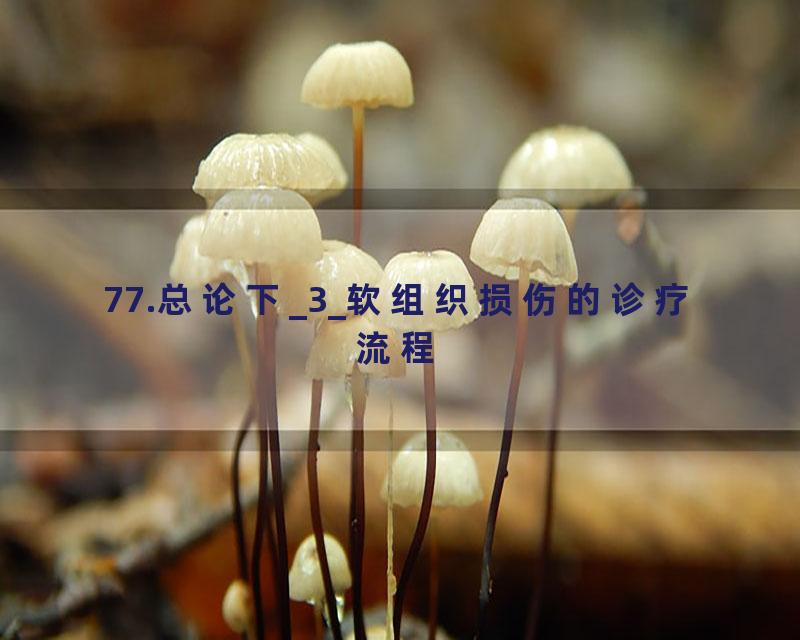 77.总论下_3_软组织损伤的诊疗流程