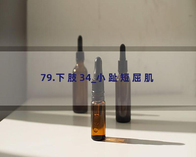79.下肢34_小趾短屈肌