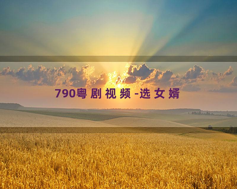 790粤剧视频-选女婿