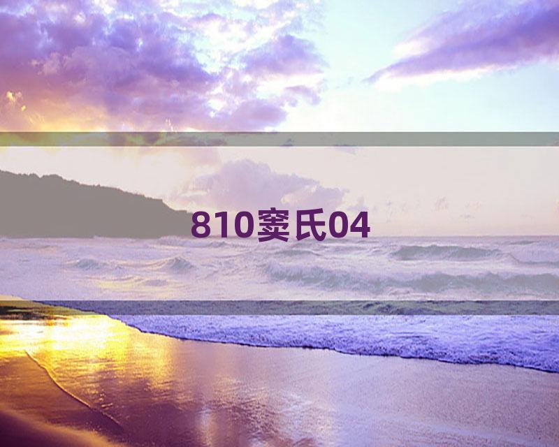 810窦氏04