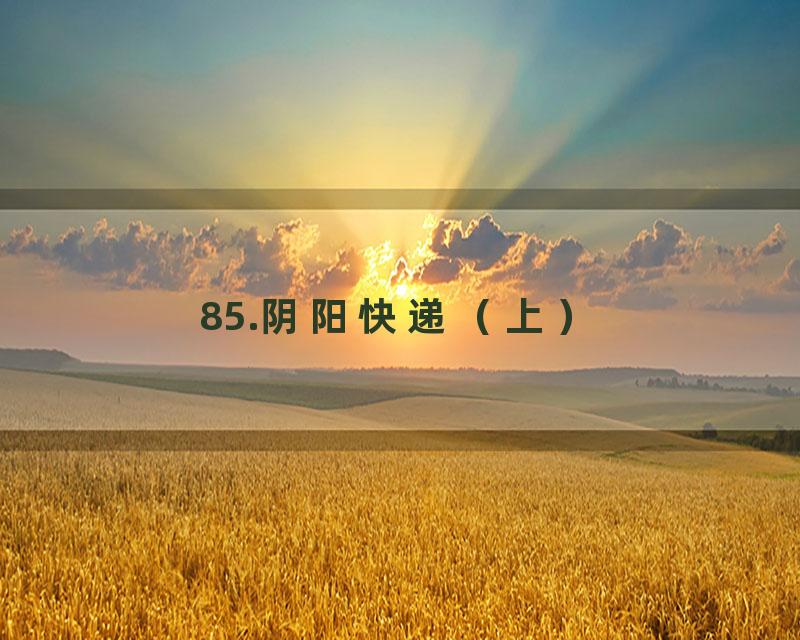 85.阴阳快递（上）