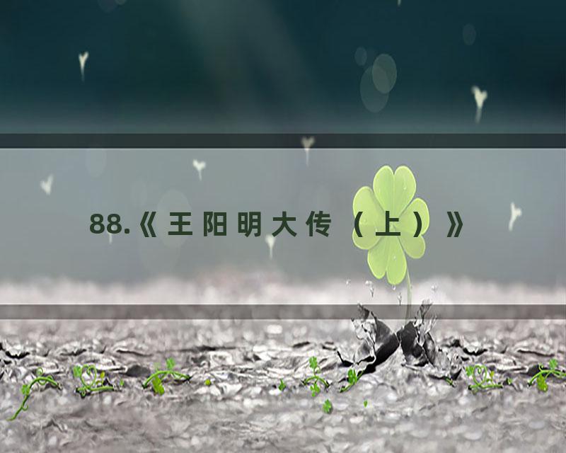 88.《王阳明大传（上）》