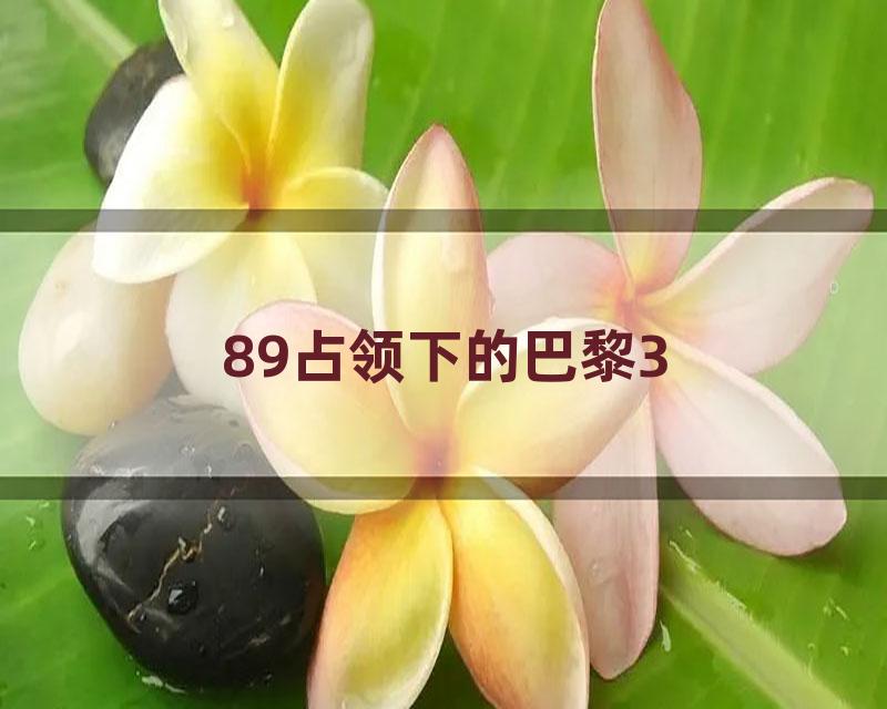89占领下的巴黎3