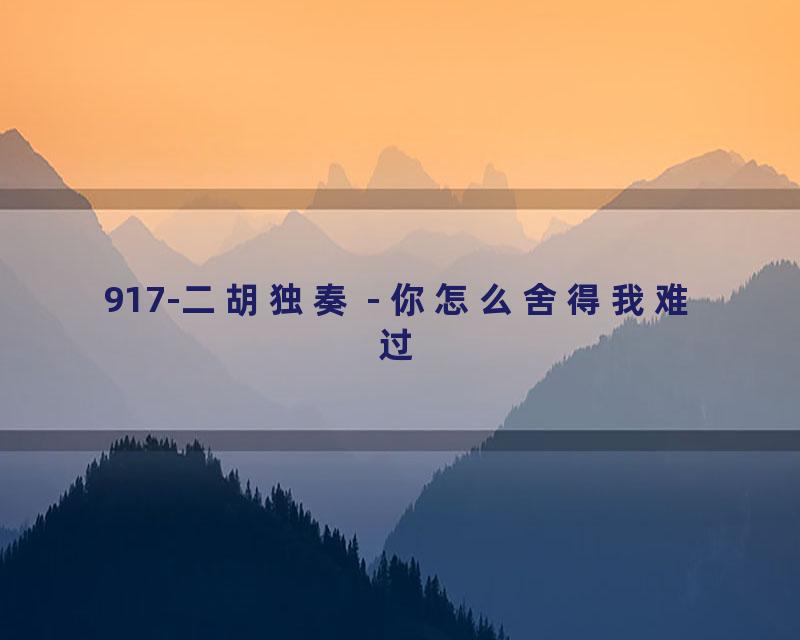 917-二胡独奏 - 你怎么舍得我难过