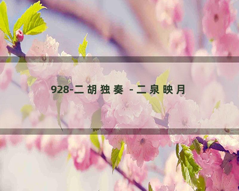 928-二胡独奏 - 二泉映月