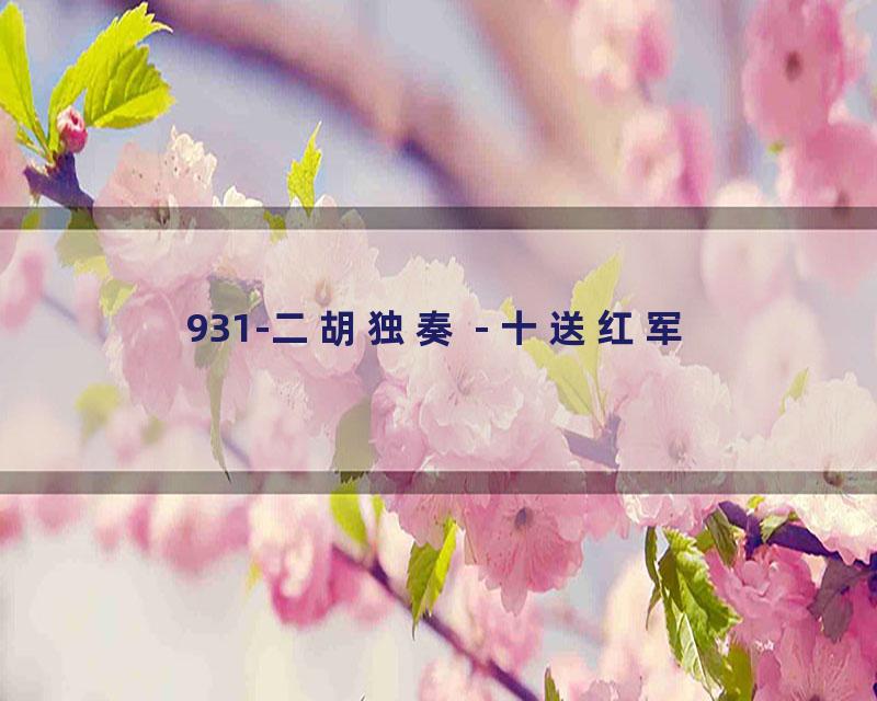 931-二胡独奏 - 十送红军
