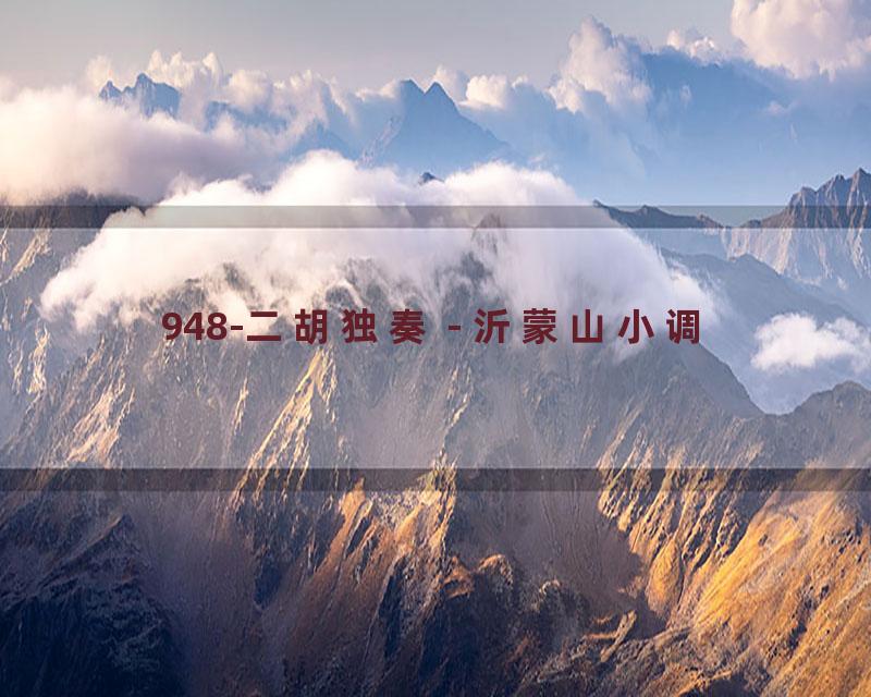 948-二胡独奏 - 沂蒙山小调