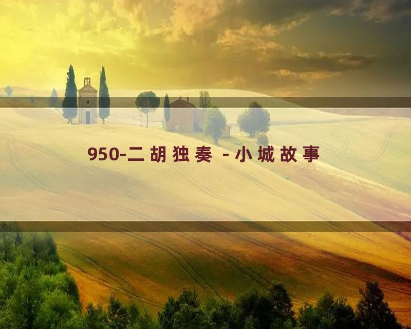 950-二胡独奏 - 小城故事