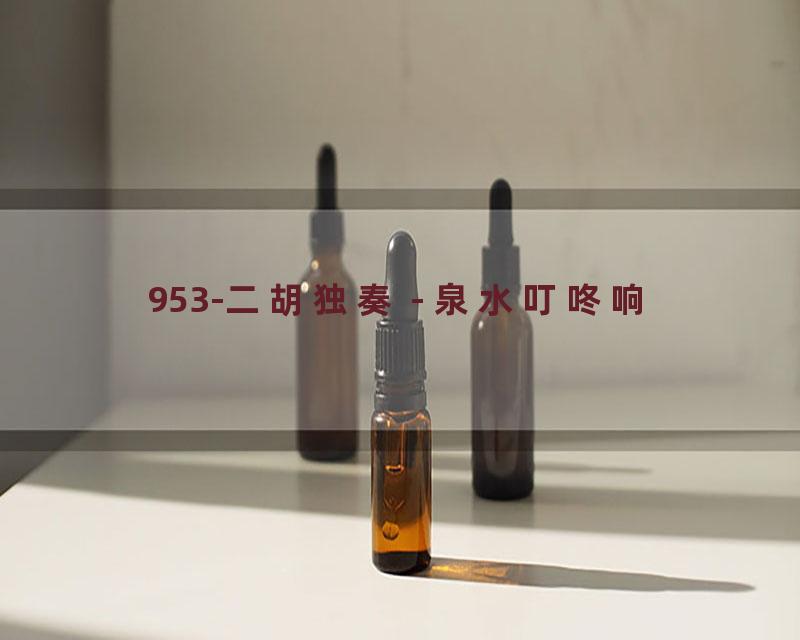 953-二胡独奏 - 泉水叮咚响
