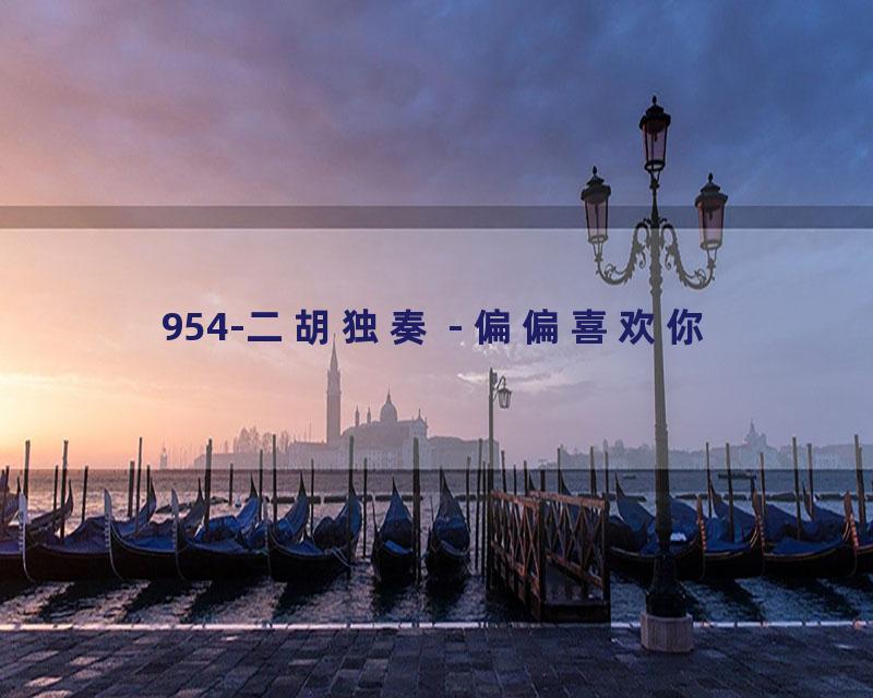 954-二胡独奏 - 偏偏喜欢你