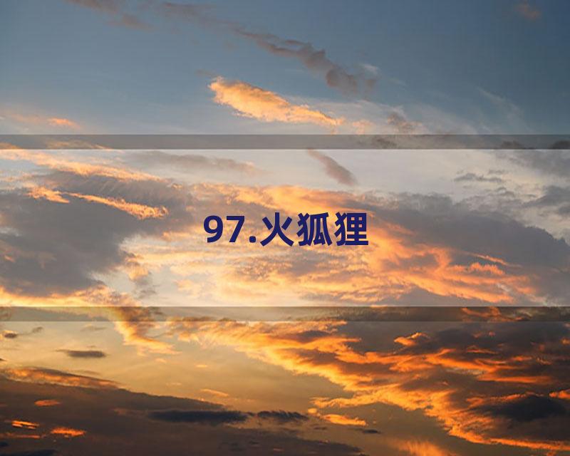 97.火狐狸