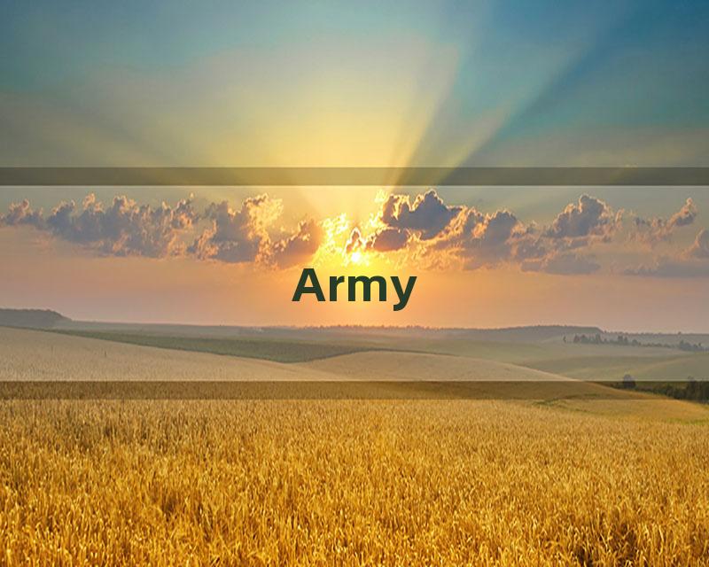 Army