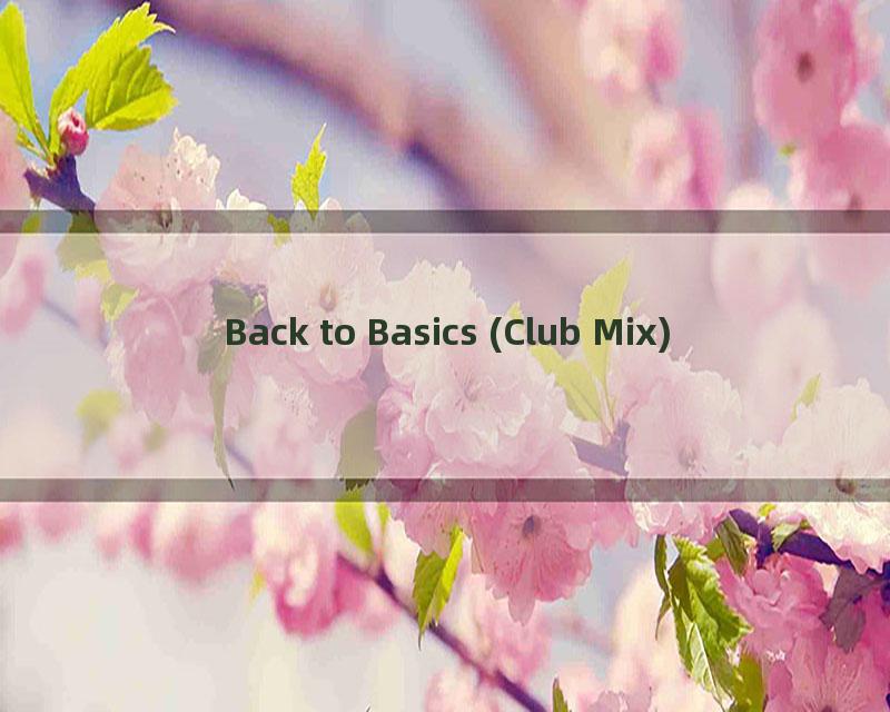 Back to Basics (Club Mix)