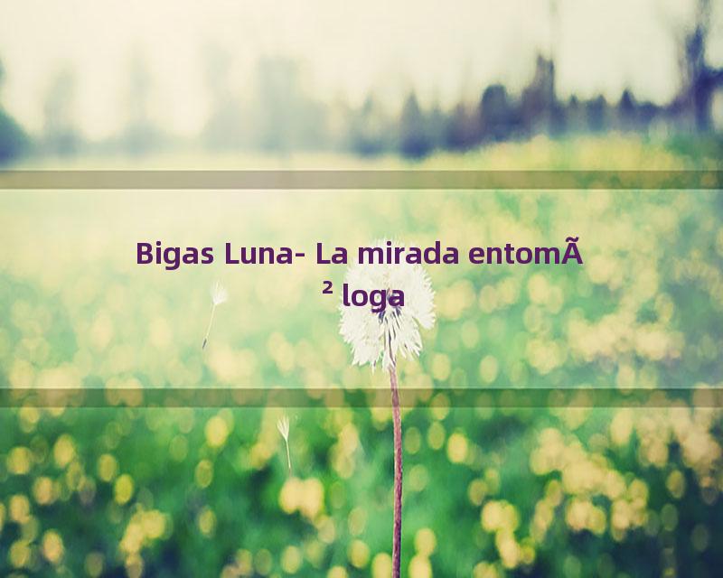 Bigas Luna- La mirada entomÃ²loga