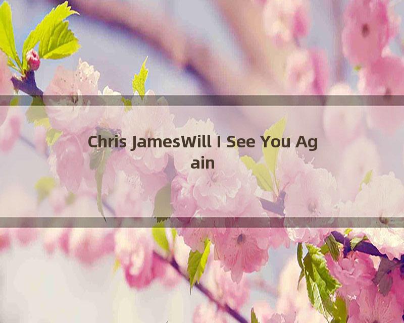 Chris JamesWill I See You Again