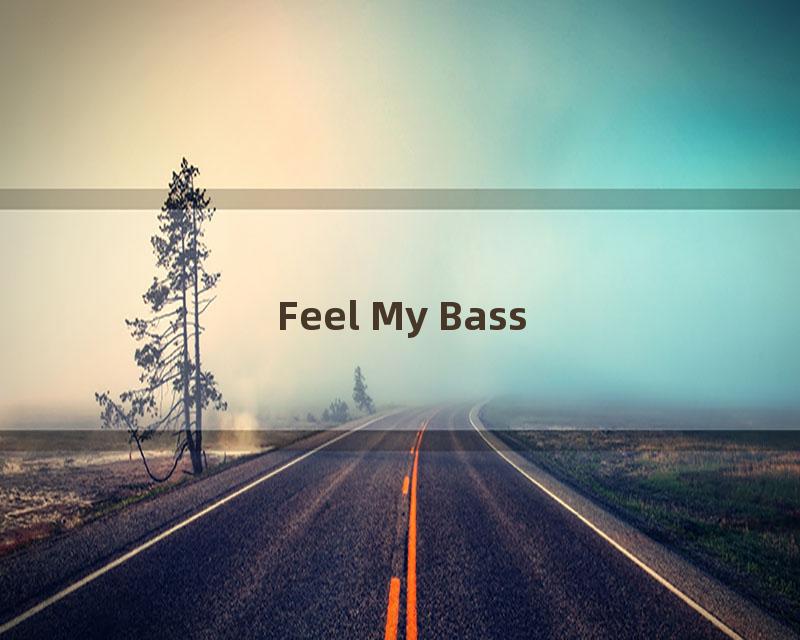 Feel My Bass