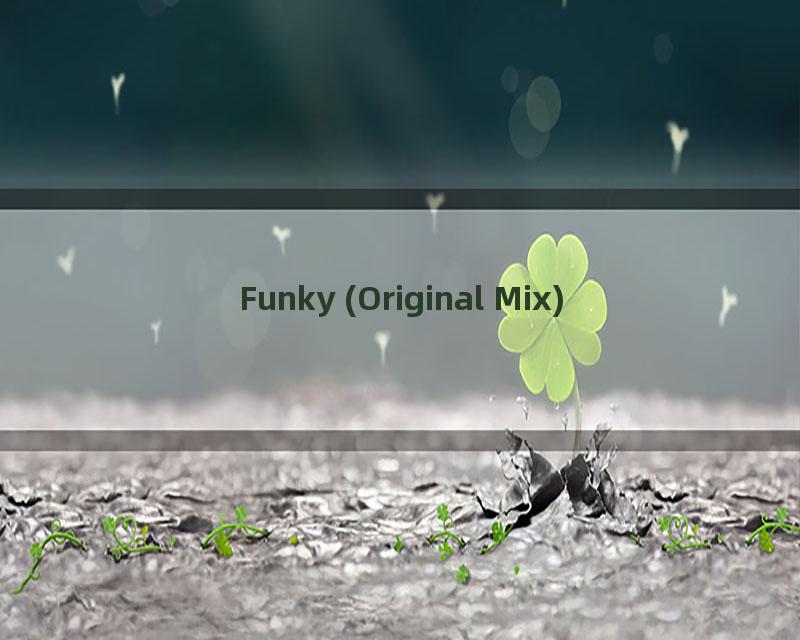 Funky (Original Mix)