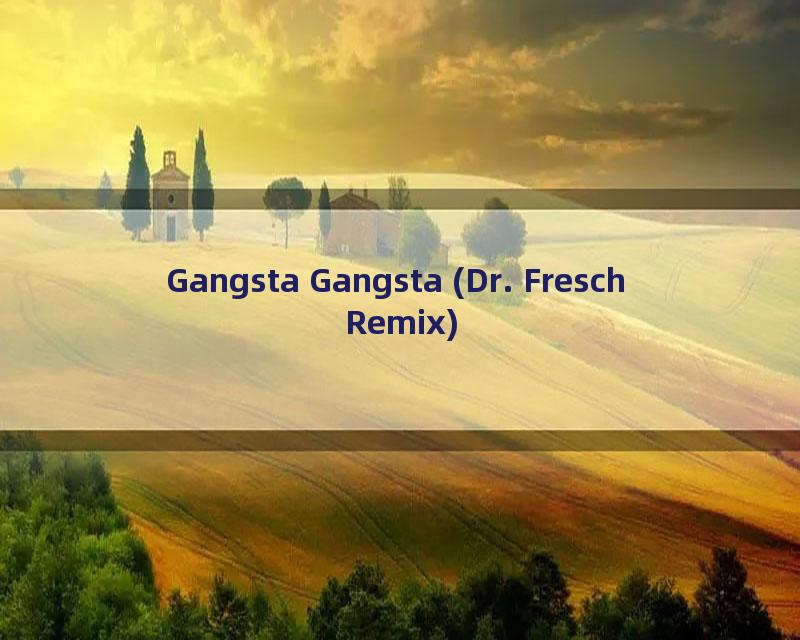 Gangsta Gangsta (Dr. Fresch Remix)