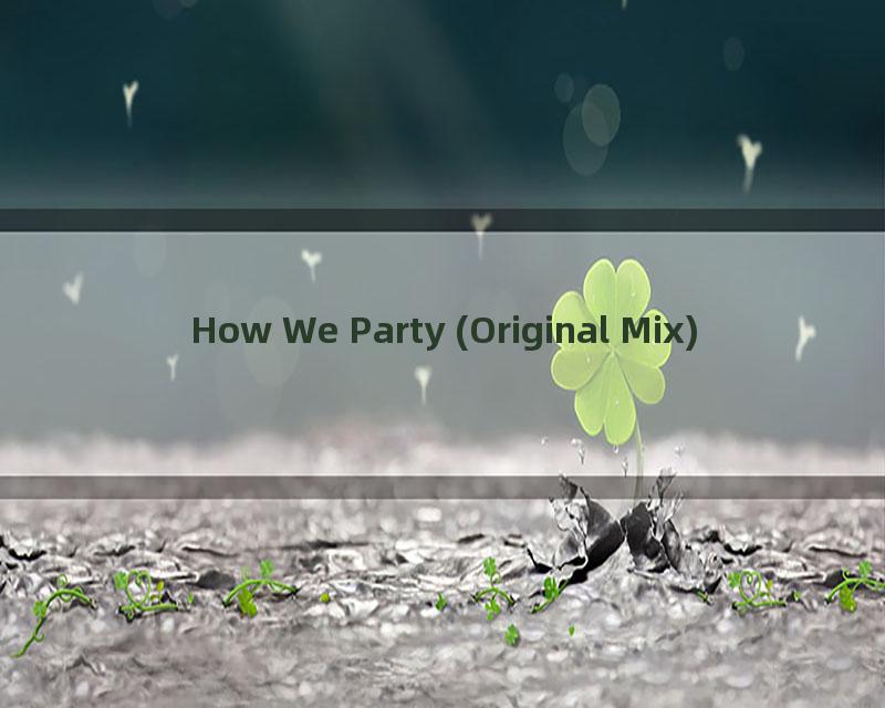 How We Party (Original Mix)