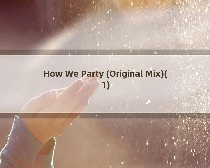 How We Party (Original Mix)(1)