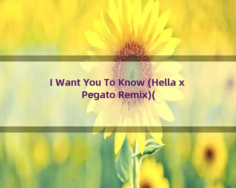 I Want You To Know (Hella x Pegato Remix)(1)
