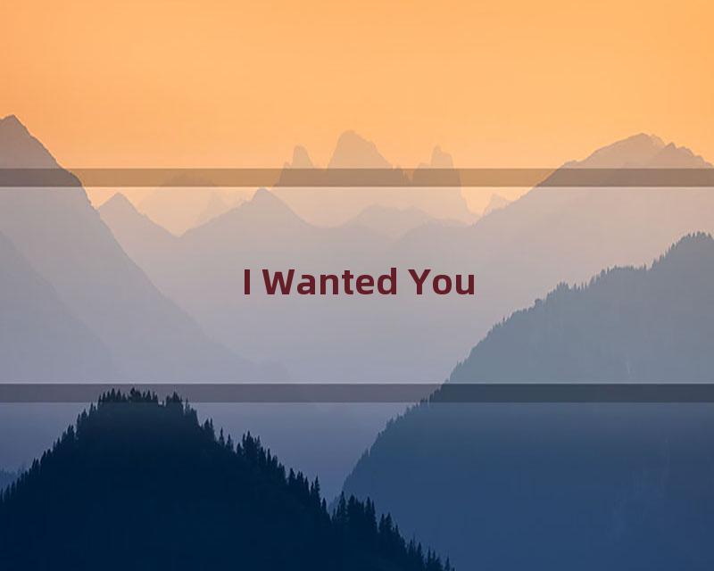 I Wanted You