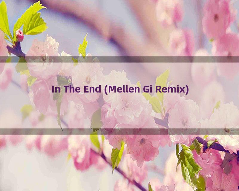 In The End (Mellen Gi Remix)