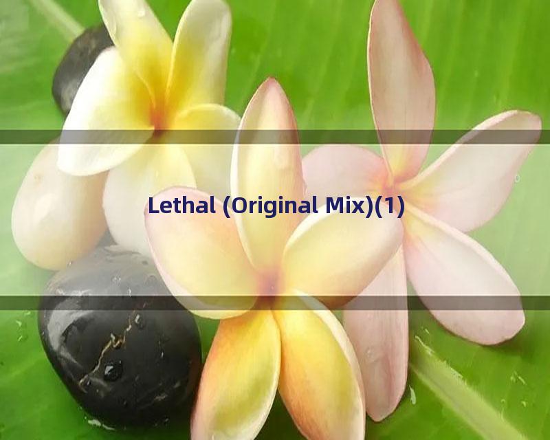 Lethal (Original Mix)(1)