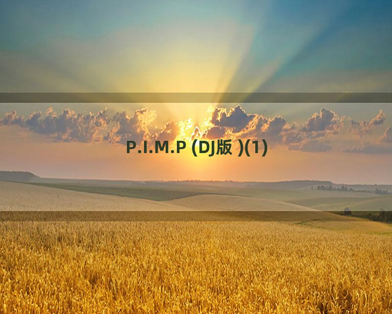 P.I.M.P (DJ版)(1)