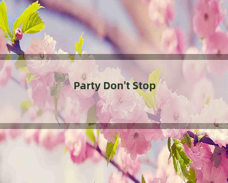 Party Don't Stop