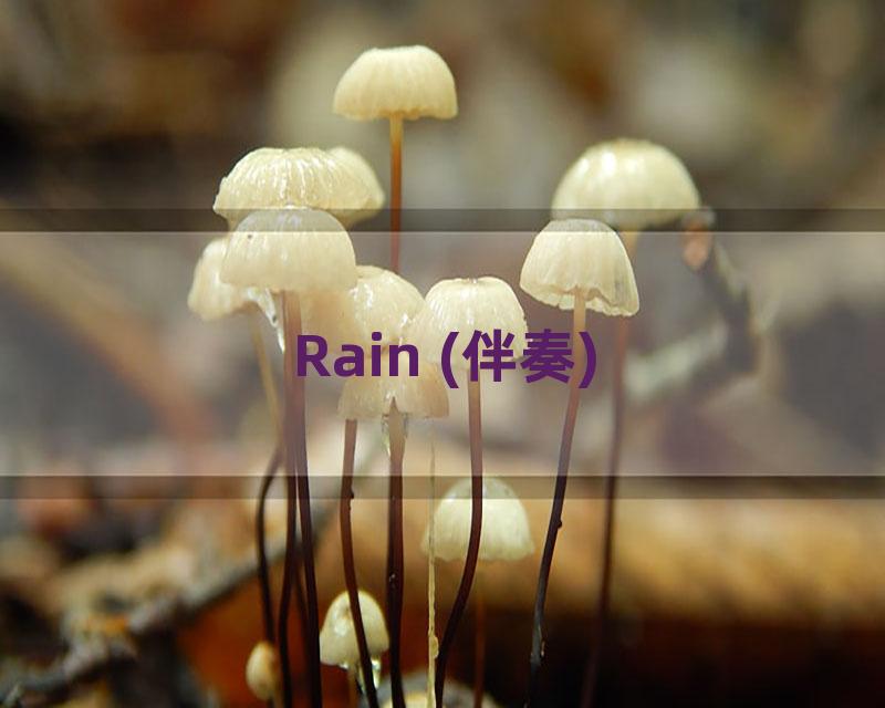 Rain (伴奏)