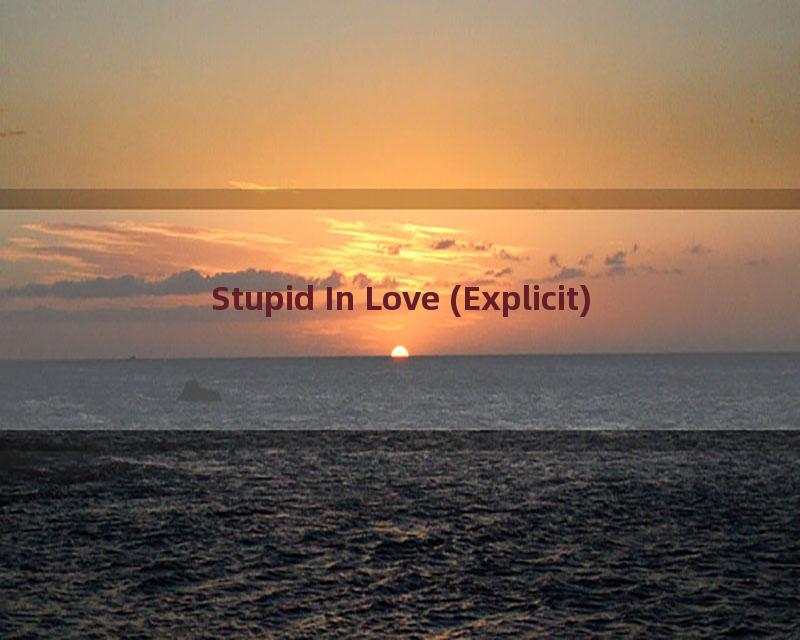 Stupid In Love (Explicit)