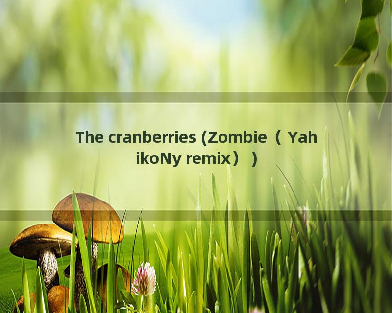 The cranberries (Zombie（YahikoNy remix）)