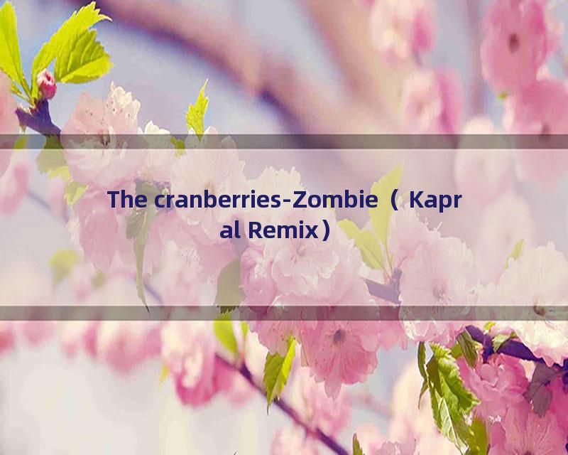 The cranberries-Zombie（Kapral Remix）