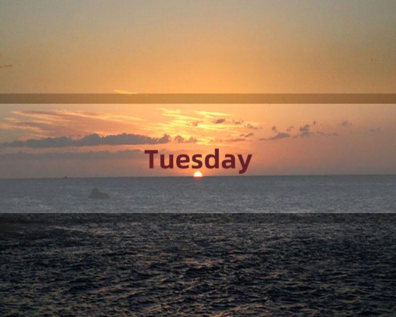 Tuesday