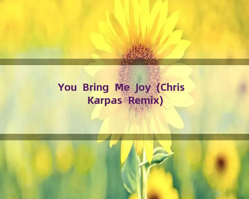You Bring Me Joy (Chris Karpas Remix)
