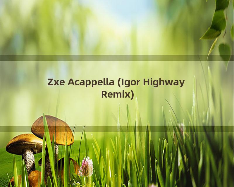 Zxe Acappella (Igor Highway Remix)